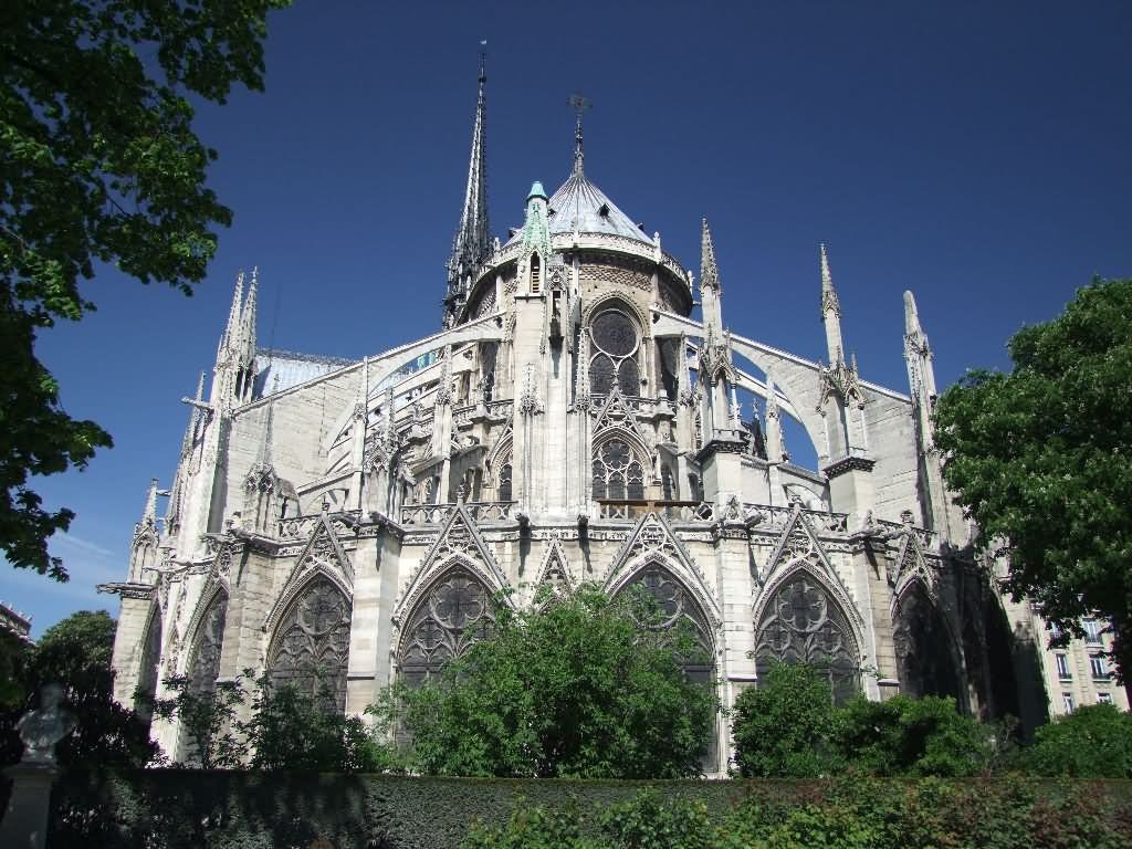 Beautiful Side View Of Flying Buttresses At Notre Dame de Paris