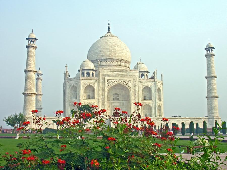 Beautiful Side View Of Taj Mahal With Red Flowers