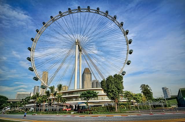 Beautiful Singapore Flyer Picture