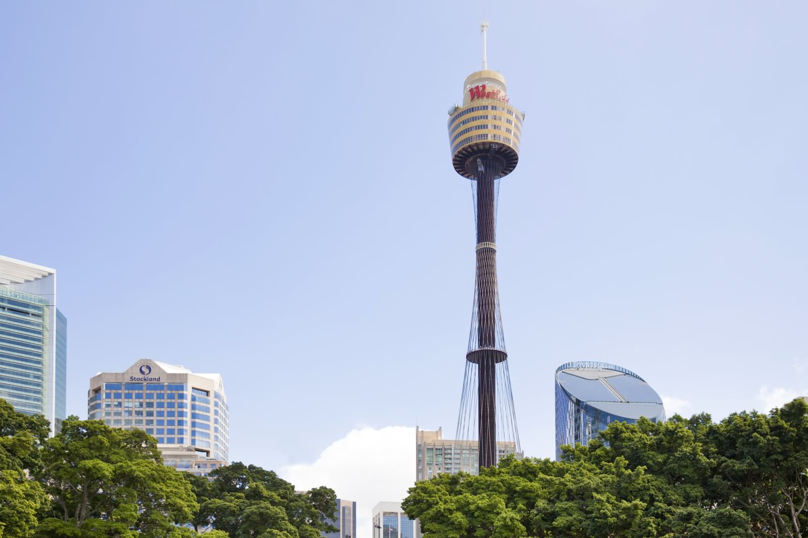 Beautiful Sydney Tower Photo