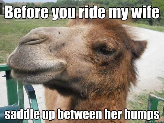 Before You Ride My Wife Saddle Between Her Humps Funny Meme Image