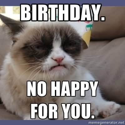 Birthday No Happy For You Funny Meme Image