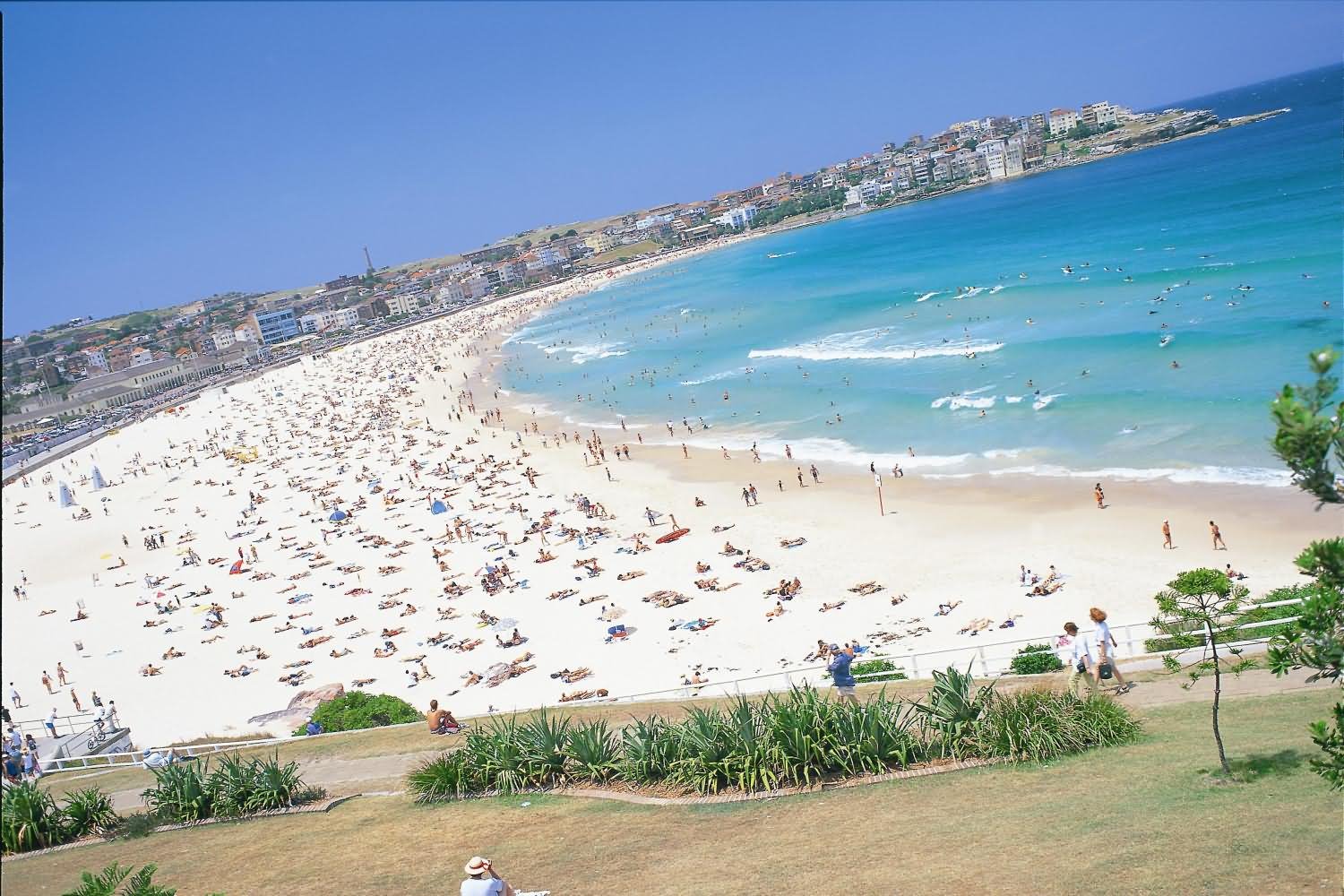 Bondi Beach Sydney Image