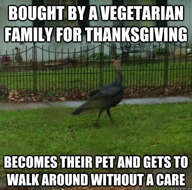 Bought By A Vegetarian Family For Thanksgiving Funny Meme Image