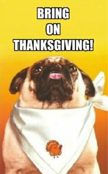 Bring On Thanksgiving Funny Image