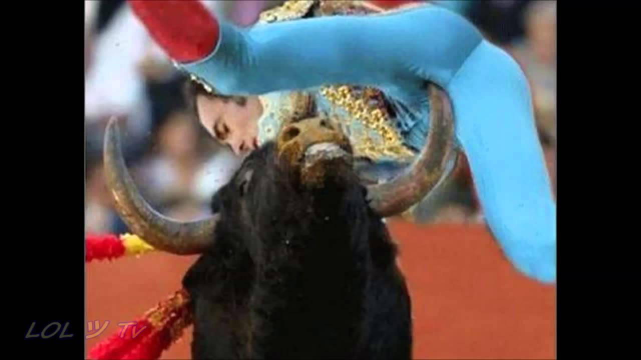 Bull Fight Funny Sports Fail Picture For Facebook