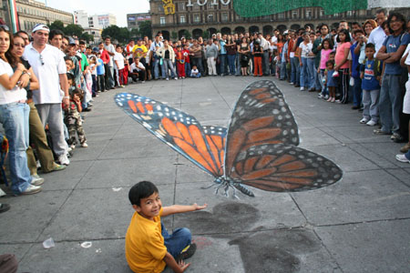 Butterfly Chalk Optical Illusion On Street