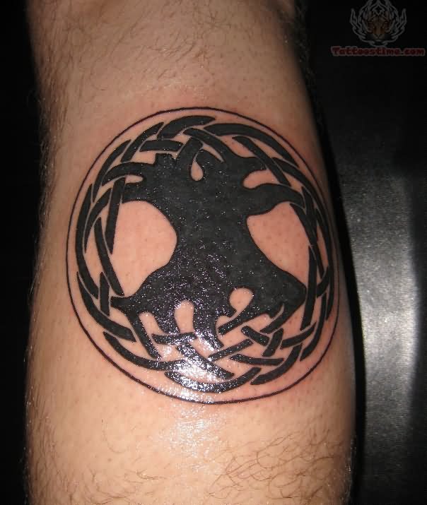 Celtic Tree In Circle Tattoo Design