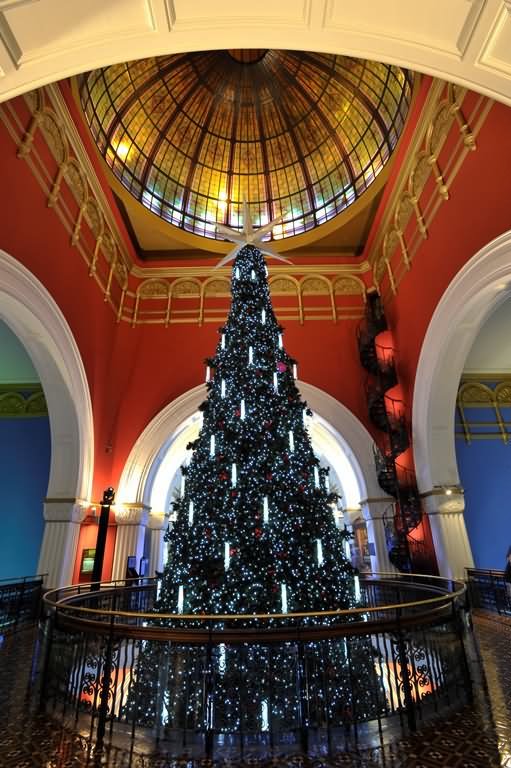 Christmas Tree Inside Queen Victoria Building