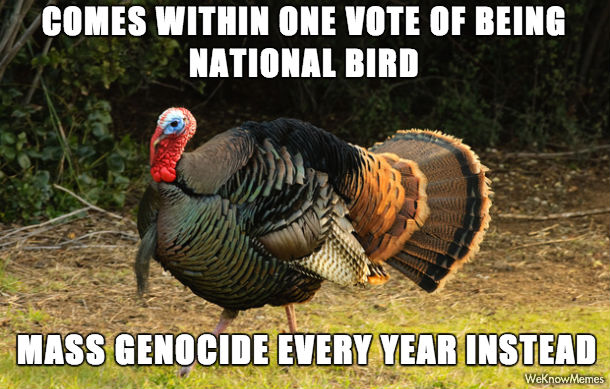 Comes Within One Vote Of Being National Bird Funny Thanksgiving Meme Image
