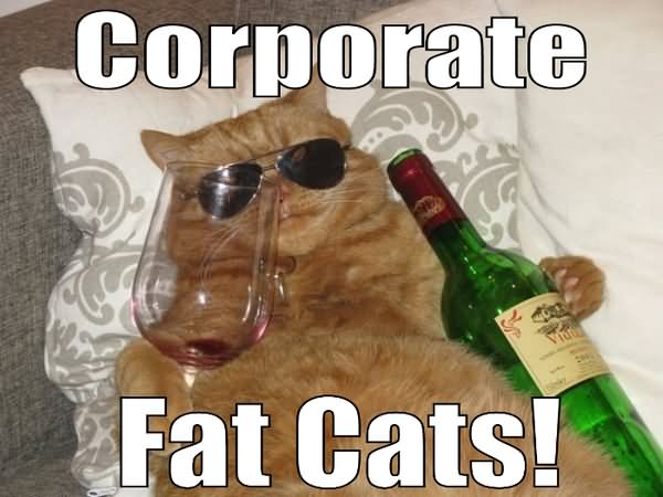 Corporate Fat Cats Funny Photo For Whatsapp