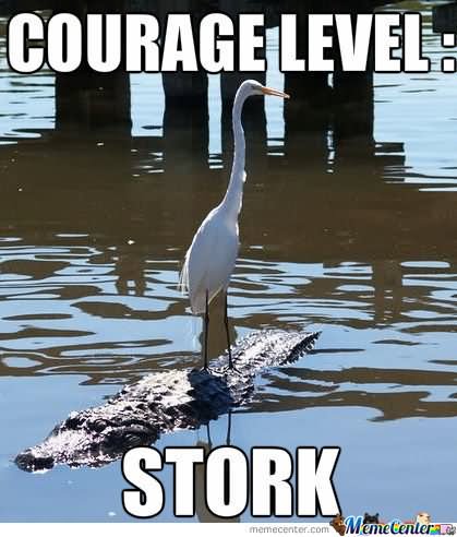 Courage Level Stork Funny Bird Meme Image