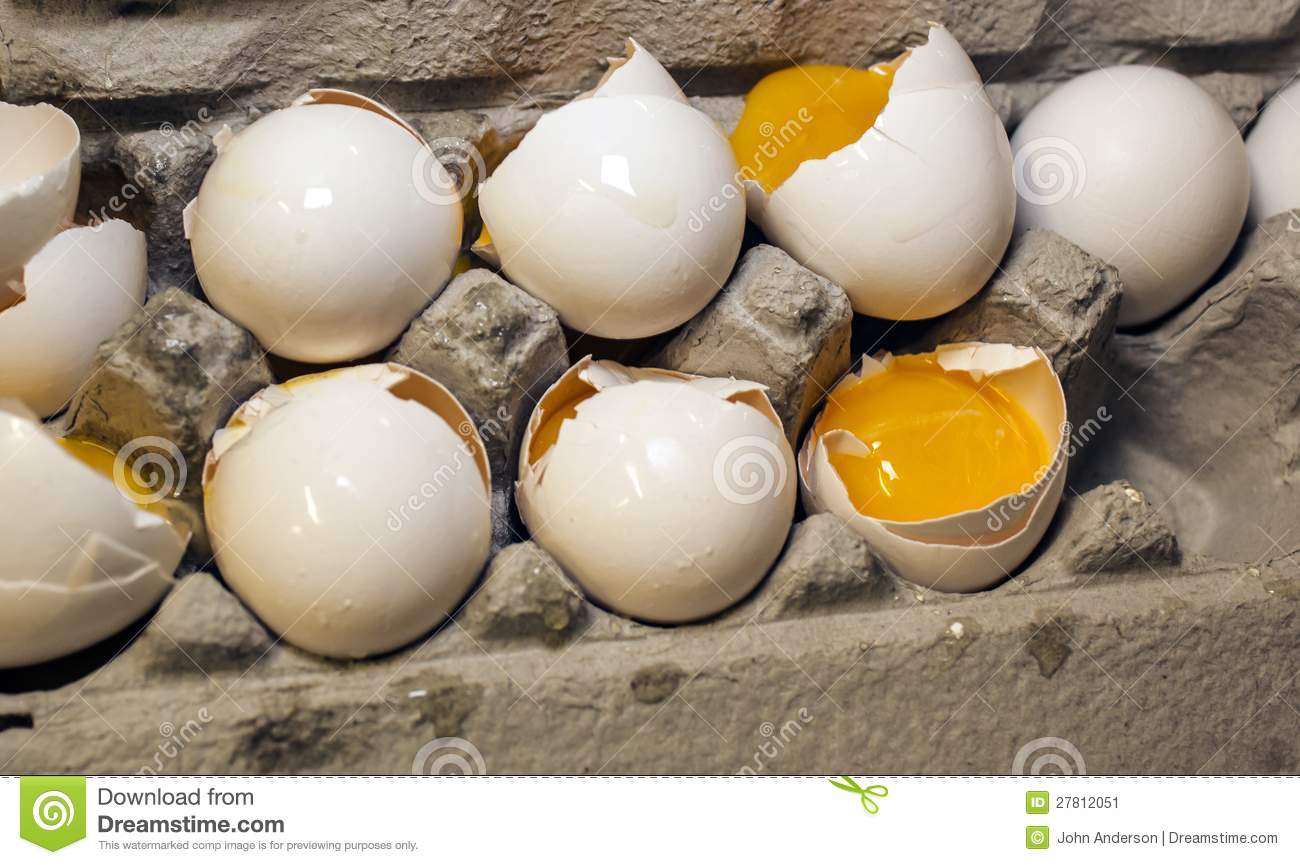 Cracked Eggs Funny Photo