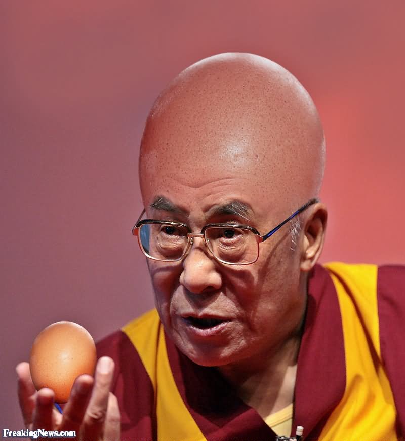 Dalai Lama Egg Head Funny Picture