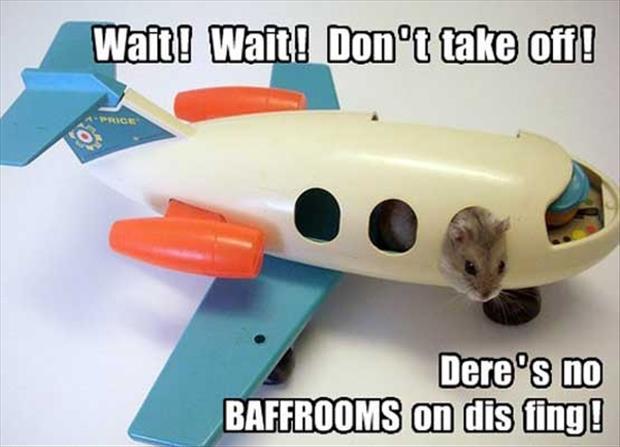 Dere’s No Baffrooms On Dis Fing Funny Plane Meme Image