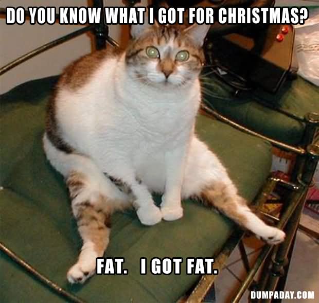 Do You Know What I Got For Christmas Funny Fat Picture