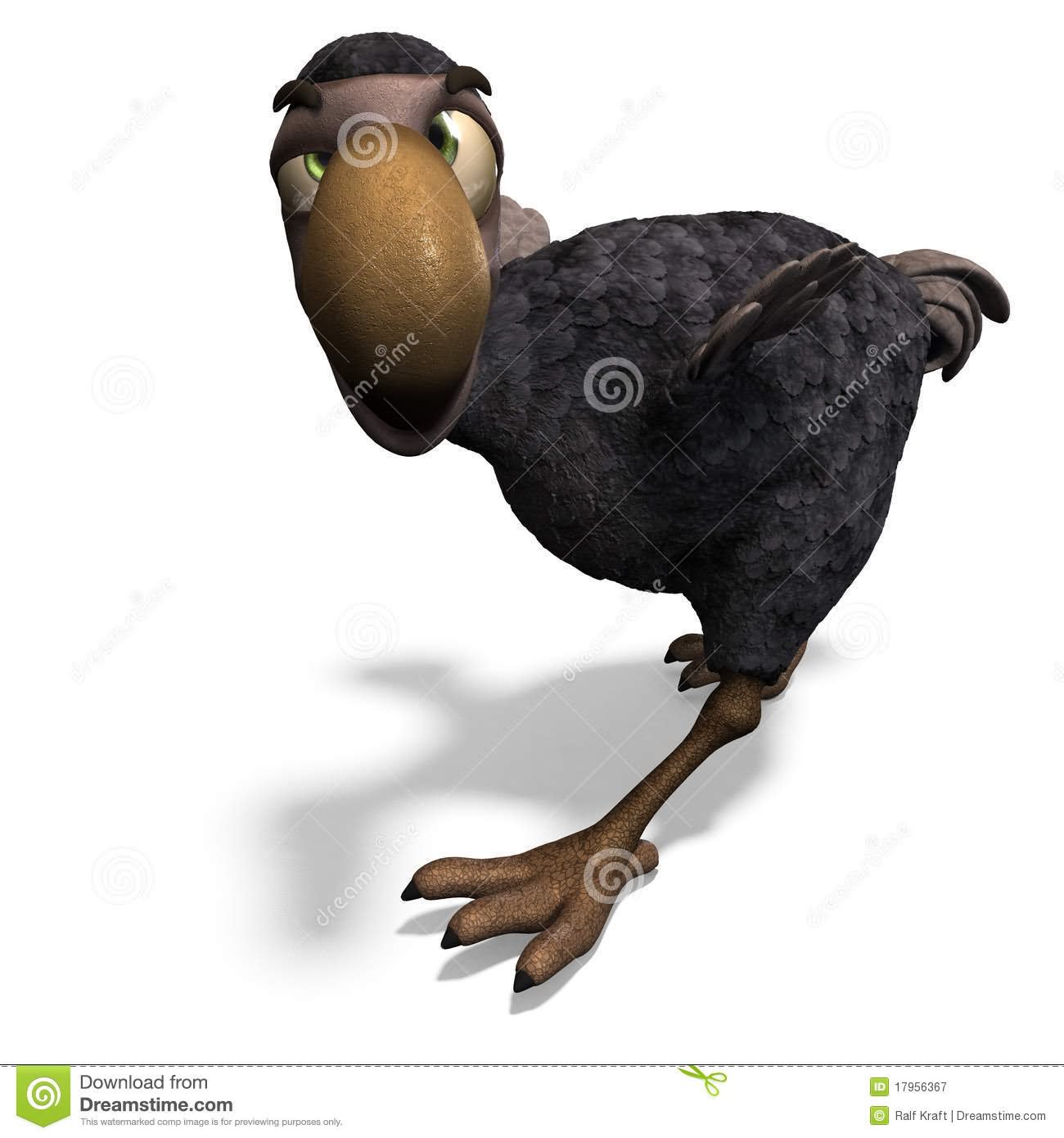 Dodo Bird Closeup Face Funny Image