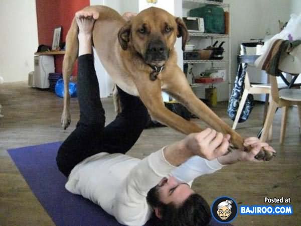 Dog Exercising With Man Funny Picture