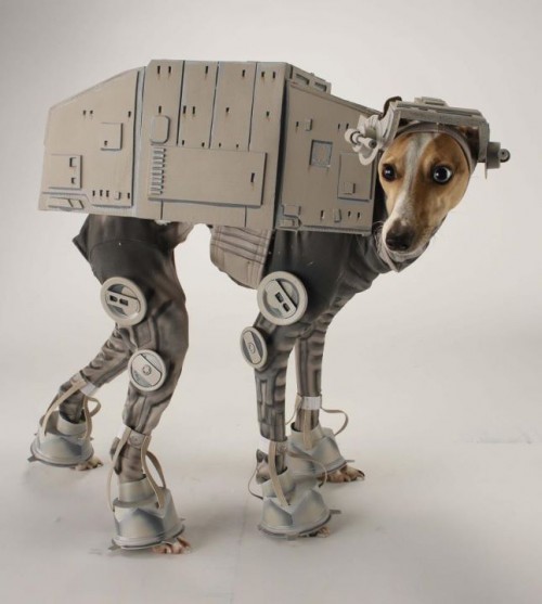 Dog With Halloween Robot Costume Funny Picture