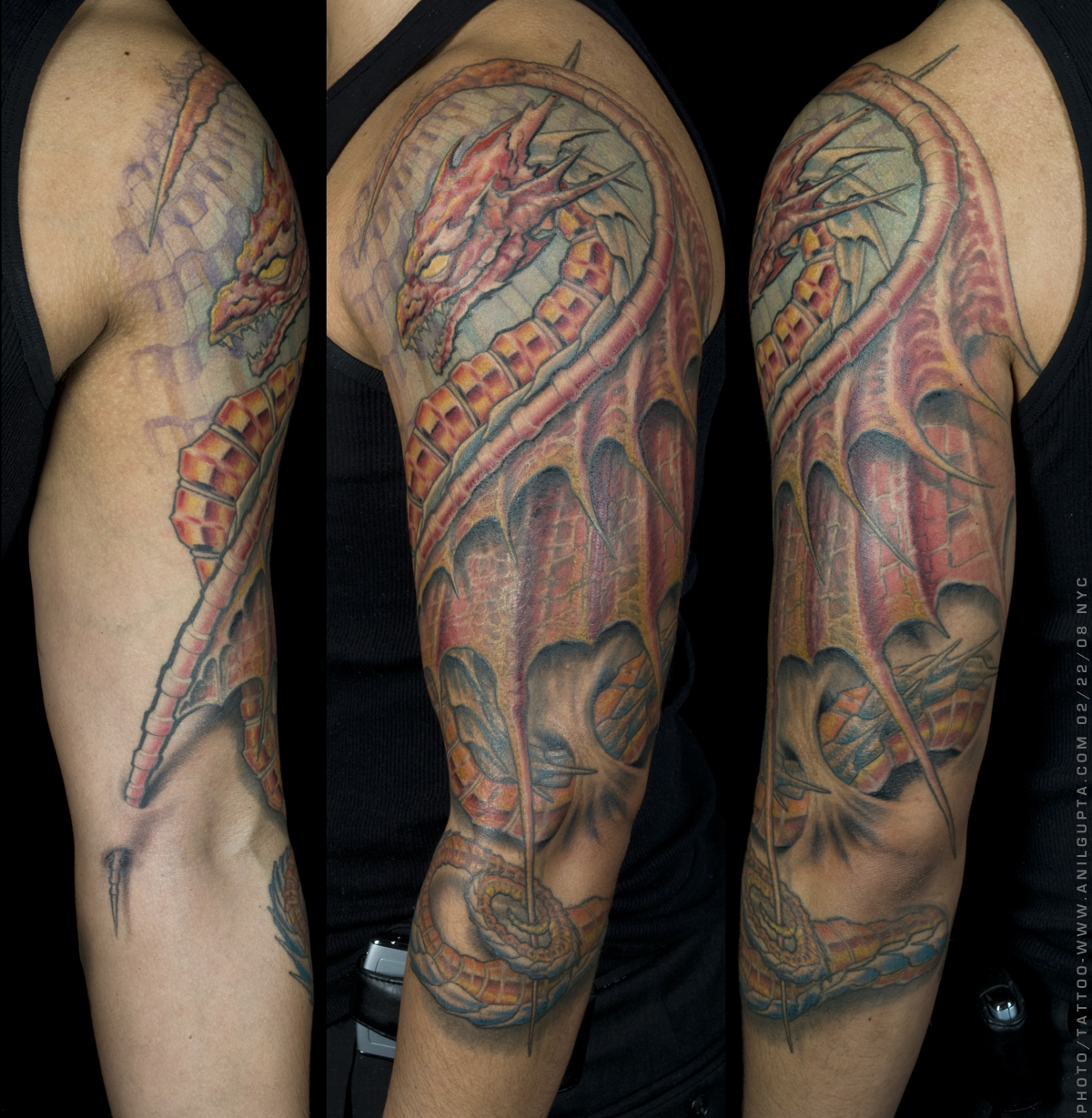 Dragon Fantasy Tattoo On Left Half Sleeve