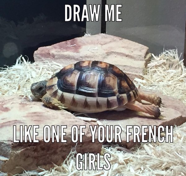 Draw Me Like One Of Your French Girls Funny Meme Image
