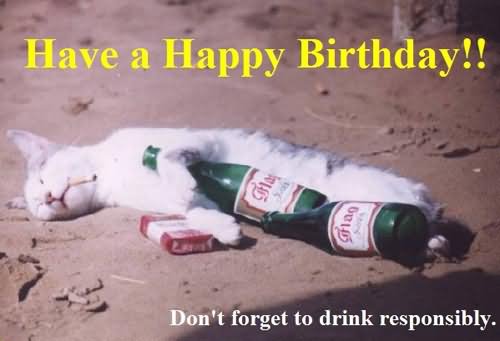 Drunk Cat Funny Birthday Animal Picture For Facebook