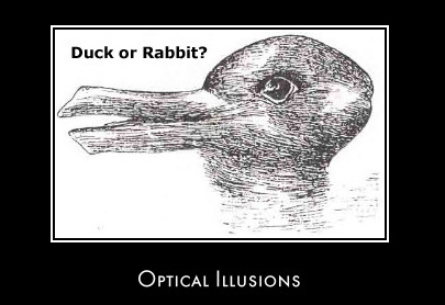 Duck Or Rabbit Optical Illusion Image