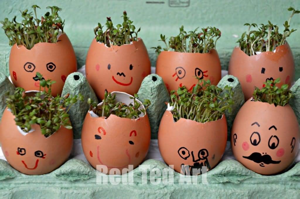 Egg Flowers Pot Funny Faces Picture For Facebook