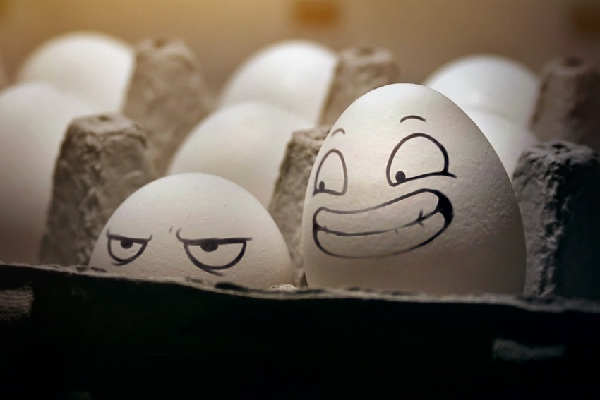 Egg Funny Face Art Picture For Facebook