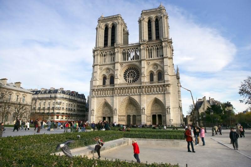 Elegant Notre Dame de Paris Picture