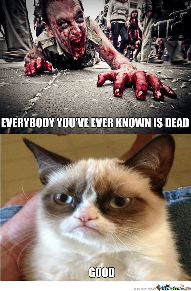 Everybody You Have Known Is Dead Funny Zombie Meme Image
