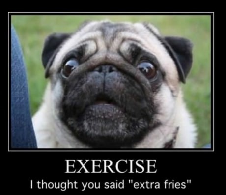 Exercise I Thought You Said Extra Fries Funny Pug Dog Image