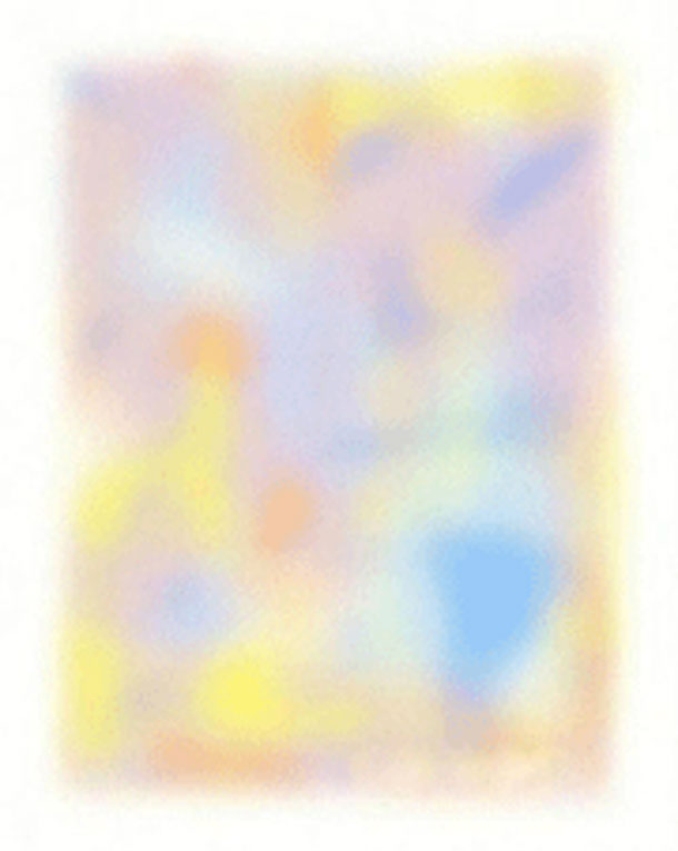 Fading Image Optical Illusion Picture