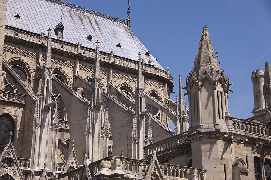 Flying Buttresses At Notre Dame de Paris Cathedral