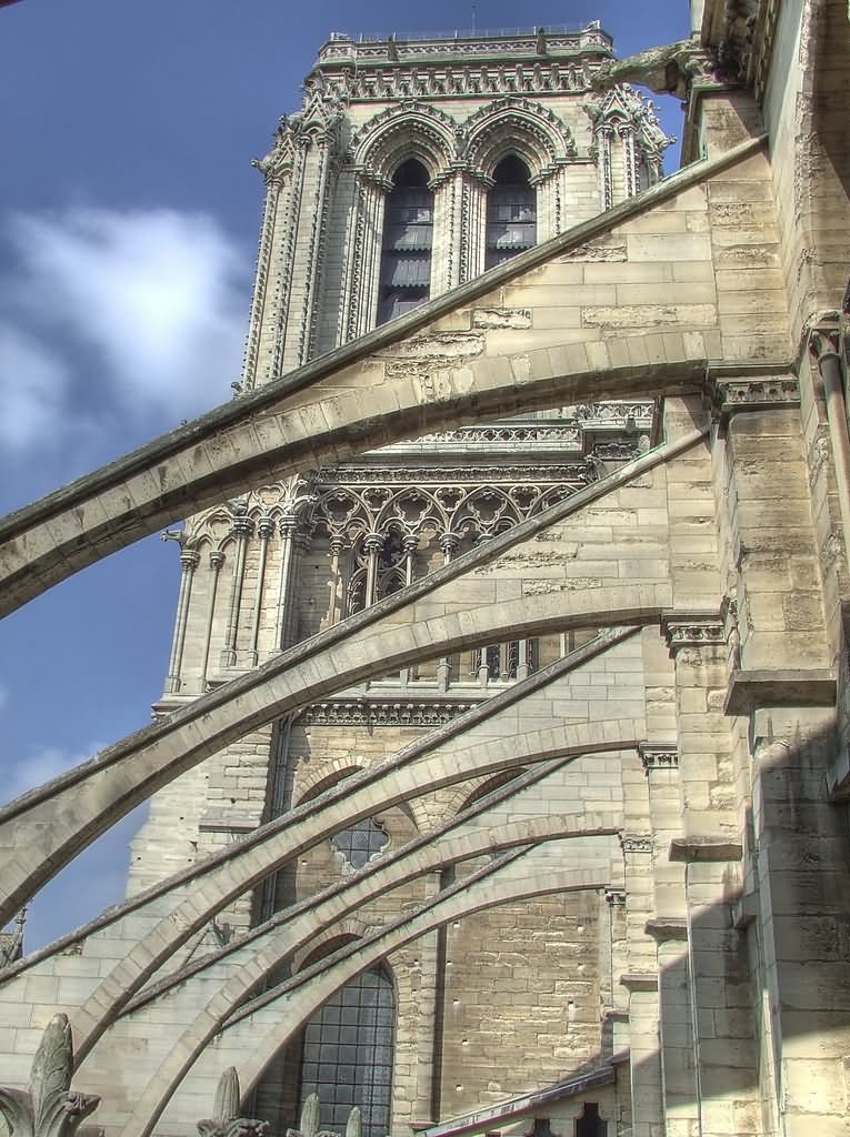 Flying Buttresses Of Notre Dame de Paris Image
