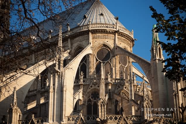 Flying Buttresses Of Notre Dame de Paris