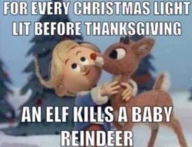 For Every Christmas Light Lit Before Thanksgiving Funny Meme Picture