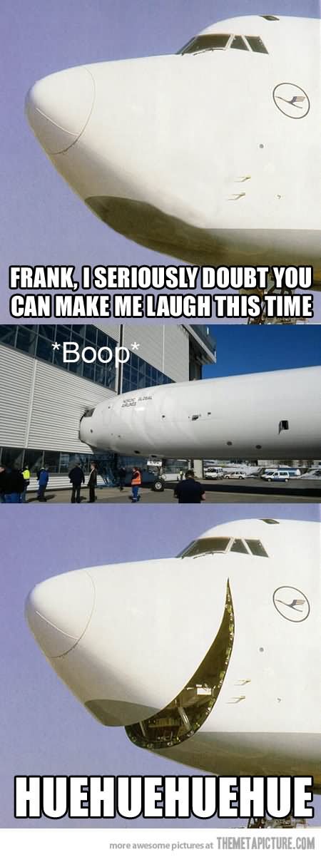 Frank I Seriously Doubt You Can Make Me Laugh This Time Funny Plane Meme Image