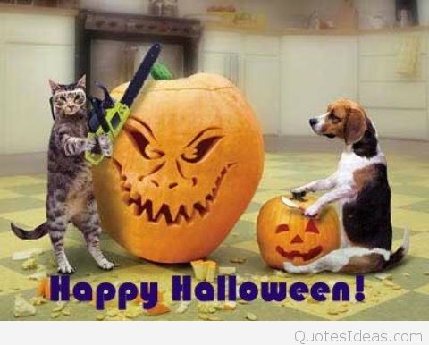 Funny Animal Say Happy Halloween Image For Whatsapp