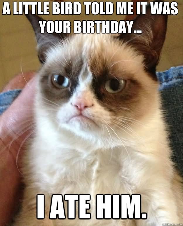 Funny Birthday Meme A Little Bird Told Me It Was Your Birthday Image