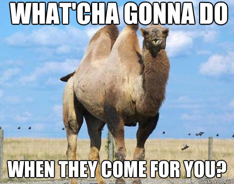 Funny Camel Meme When They Come For You Image