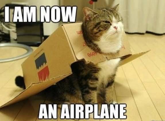 Funny Cat Meme I Am Now An Airplane Image