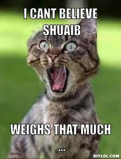 Funny Cat Meme I Can Believe Shuaib Image