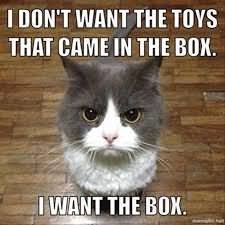 Funny Cat Meme I Don't Want The Toys That Came In The Box Picture
