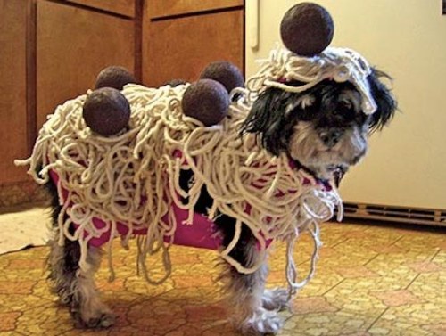 Funny Halloween Animal Dog Image