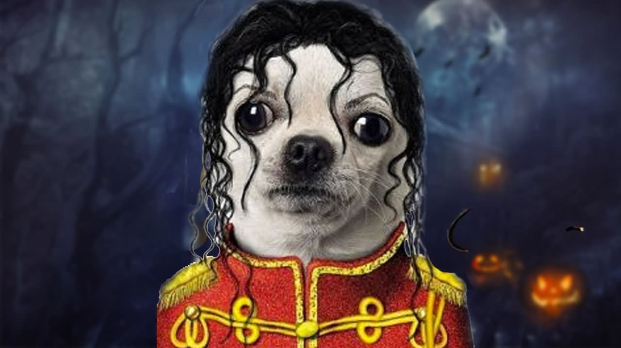 Funny Halloween Michael Jackson Costume For Dog