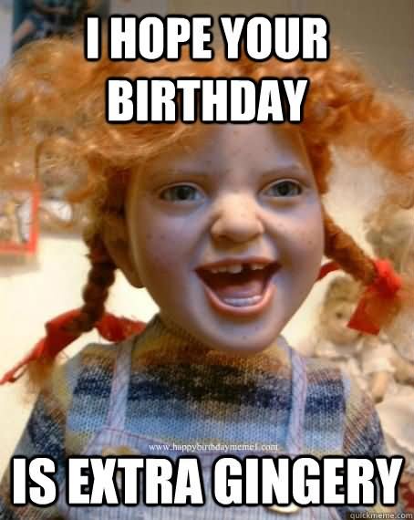 Funny Meme I Hope Your Birthday Is Extra Gingery Image