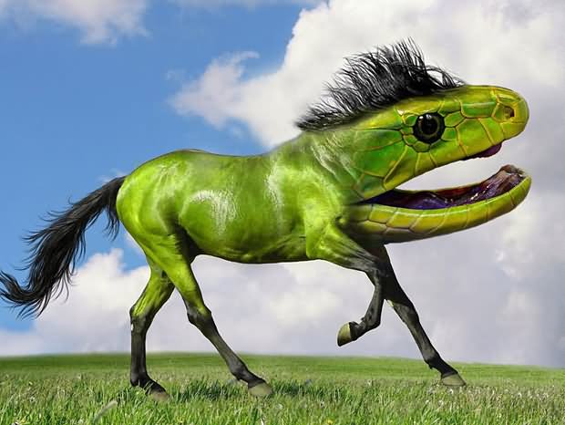 Funny Photoshopped Horse With Snake Face