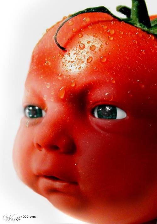 Funny Photoshopped Tomato Baby Face Photo For Whatsapp