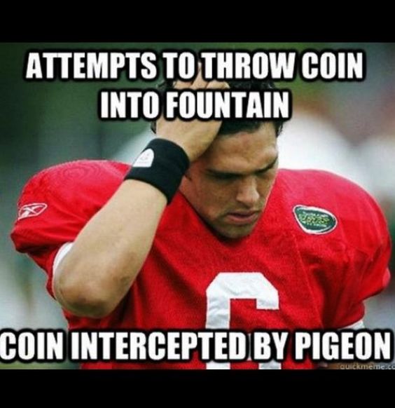 Funny Sports Meme Attempts To Throw Coin Into Fountain Image